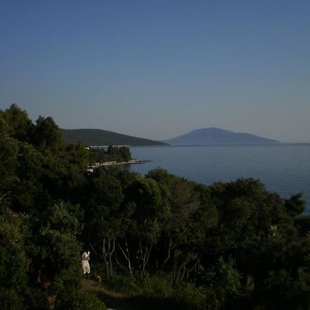 Apartments Pinezic Martinscica  Luaran gambar